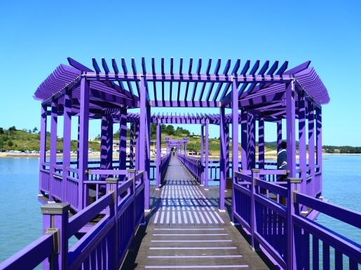 ���� ����5