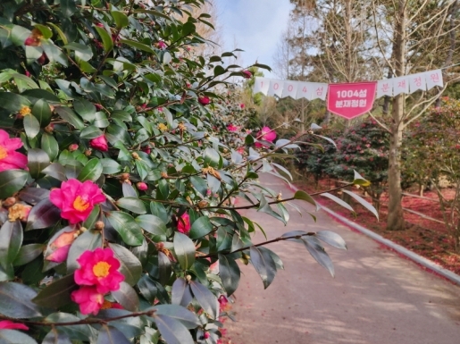 ���� ����4