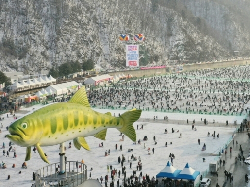 ���� ����3