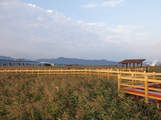 ���� ����6