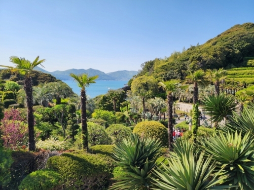 ���� ����4