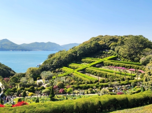 ���� ����5