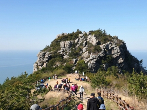 ���� ����3