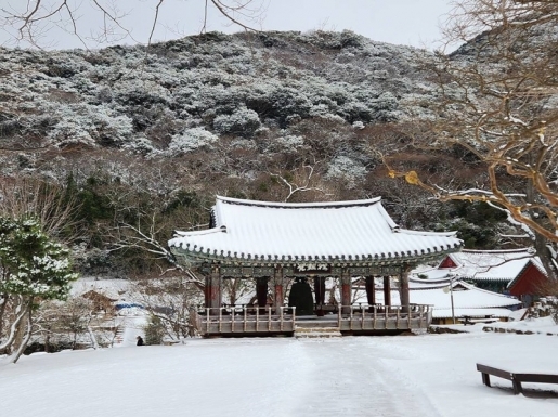 ���� ����5