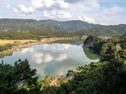 ���� ����5